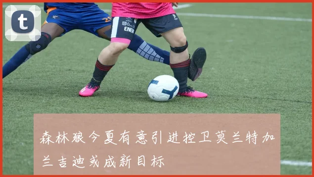 森林狼今夏有意引进控卫莫兰特加兰吉迪或成新目标