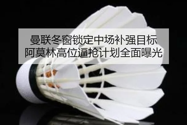 曼联冬窗锁定中场补强目标 阿莫林高位逼抢计划全面曝光（ShuangYing）